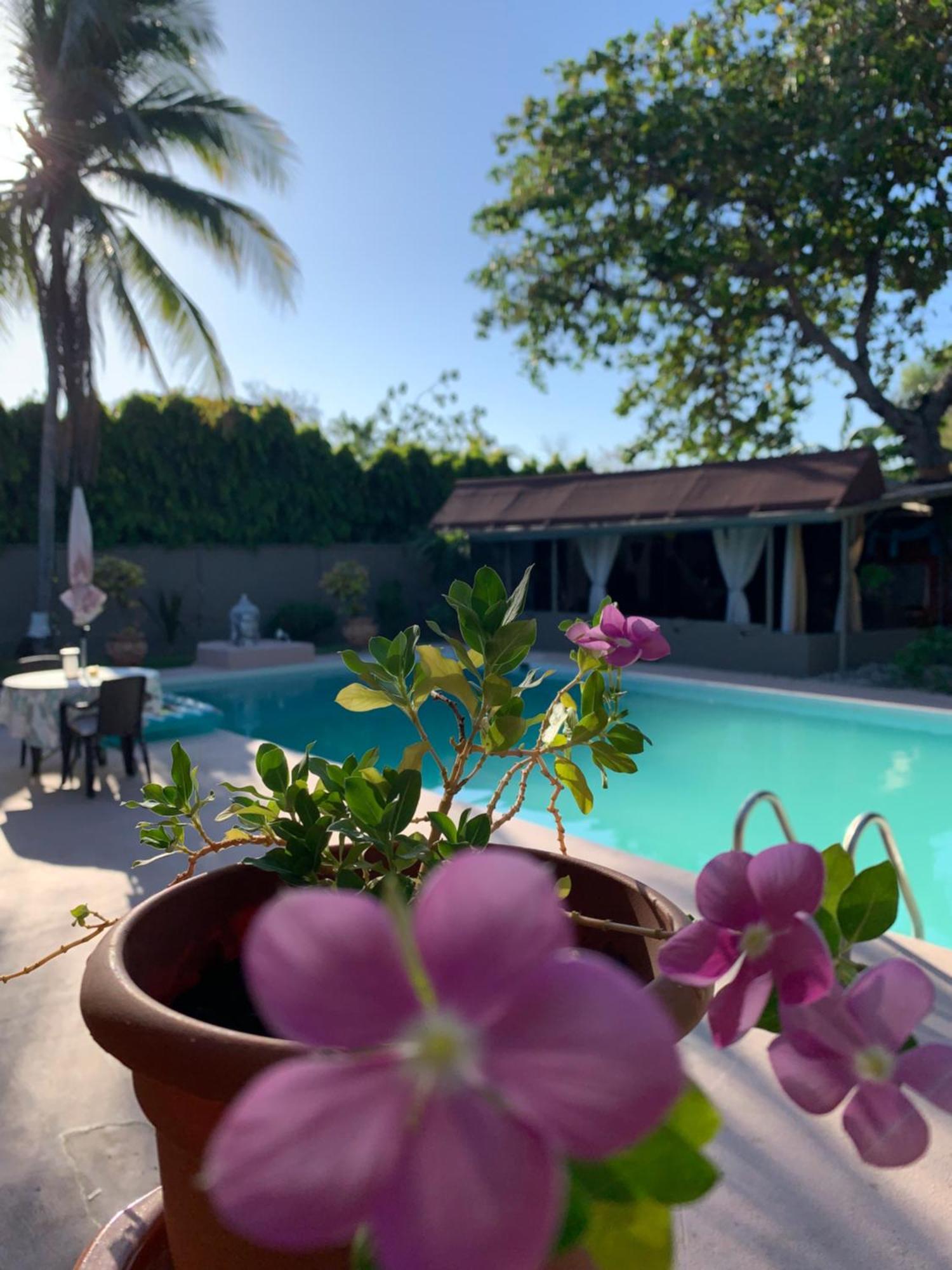 بلايا كورونادو B&B El Litoral المظهر الخارجي الصورة